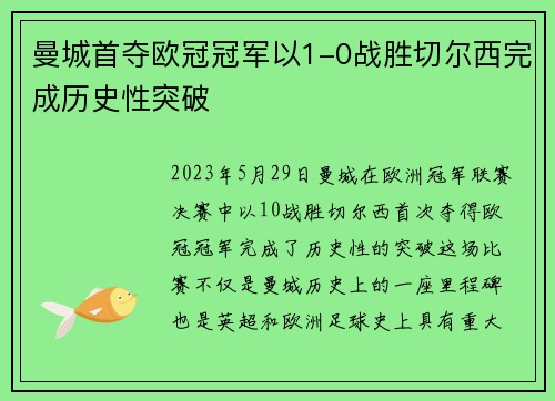 曼城首夺欧冠冠军以1-0战胜切尔西完成历史性突破
