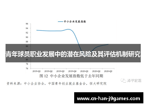 青年球员职业发展中的潜在风险及其评估机制研究 青年球员职业发展中的潜在风险及其评估机制研究